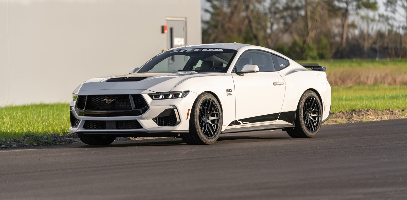 The New 2024+ European Mustang S650. Which One Should I get? GT or Dark Horse?
