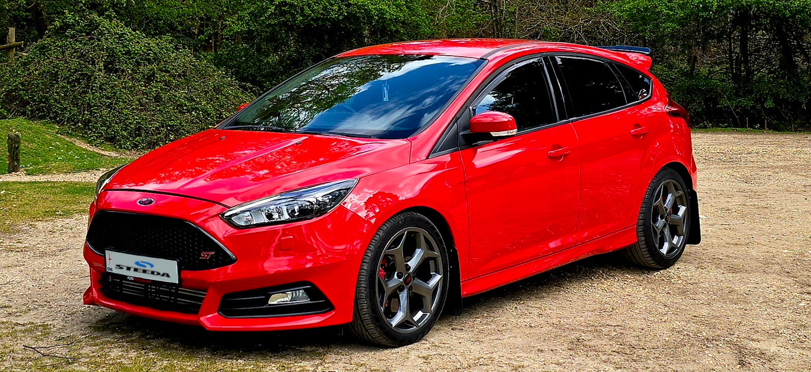 Peters Focus ST mk3