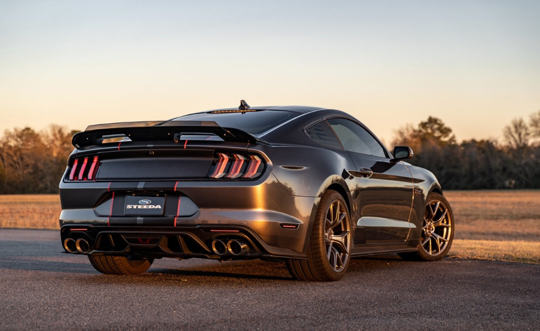 Mustang S650 - GT500 Style Rear Spoiler with Tinted Wicker Bill - Gloss Black
