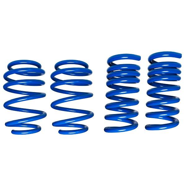 Steeda S550 Mustang Lowering Springs - Ultimate Handling Dual Rate Springs