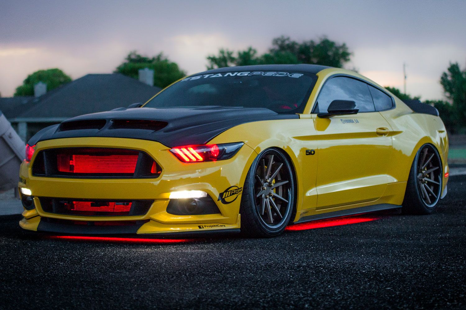 Diode Dynamics RGBW Multicolour LED Underglow Kit