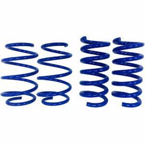 Products Steeda S550 Mustang GT Drag Springs - Linear (2015-2023)