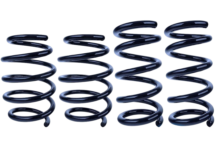 Steeda S550 Mustang EcoBoost Lowering Springs - Ultralite Linear