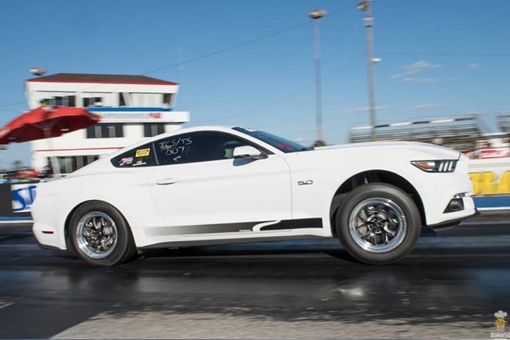 Steeda Sponsors the European Mustang Nationals at Santa Pod! + More 2023 Event News