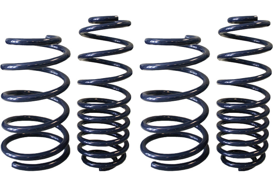 Steeda GT500 S197 Mustang Performance Lowering Springs 2007-14