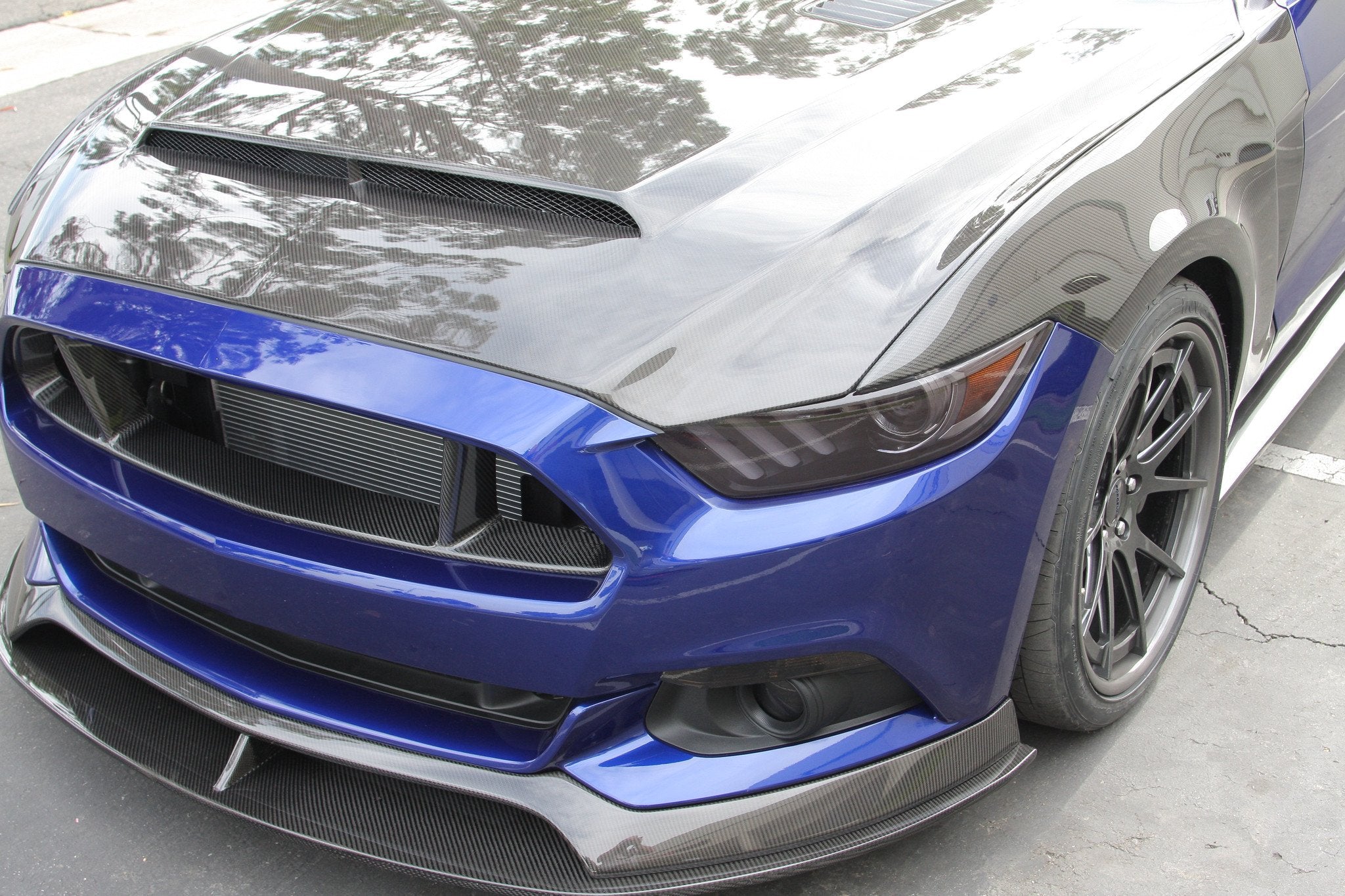 Anderson Composites - Carbon "Super Snake" Style Hood