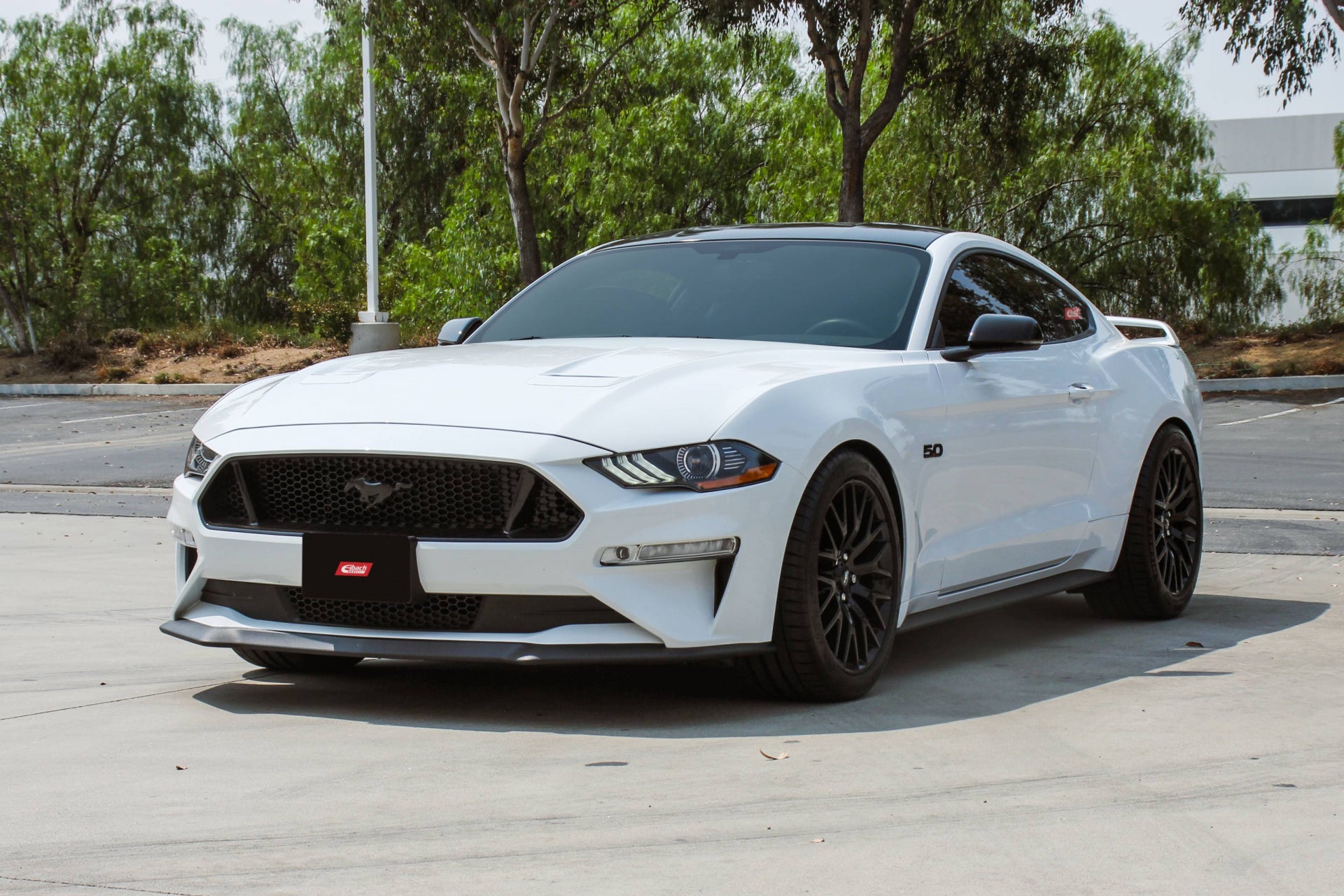 Eibach S550 Mustang GT & Ecoboost Pro-Street S Coilover Kit - Magneride Only