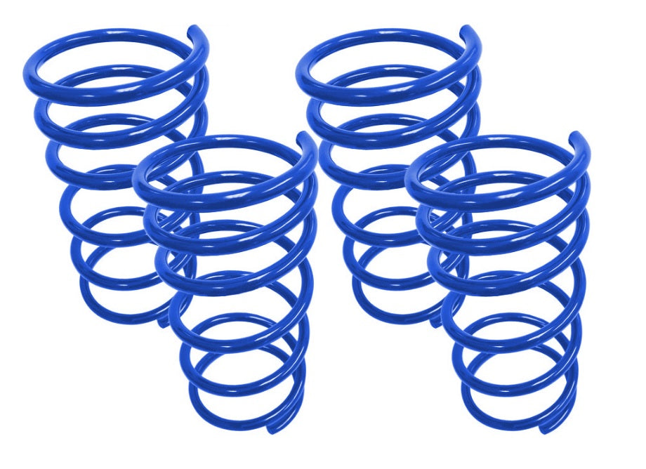 Steeda Focus RS mk3 Performance Lowering Springs